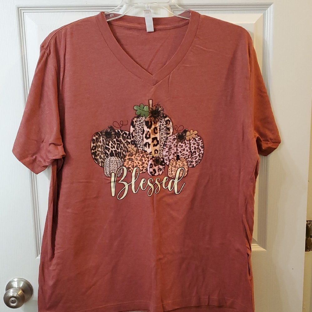 Blessed Graphic V-Neck T-Shirt 2X